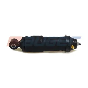 20101 AUGER