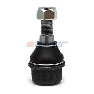 AUGER 11196