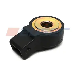 101511 AUGER