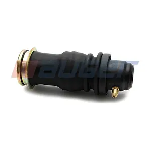 AUGER 20041