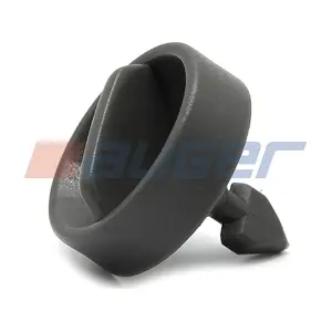 100229 AUGER