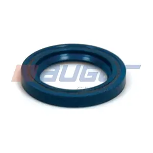54894 AUGER
