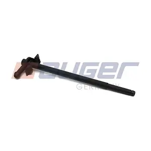 119818 AUGER