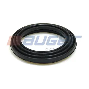 55360 AUGER