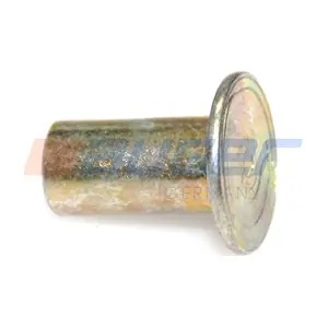 55629 AUGER