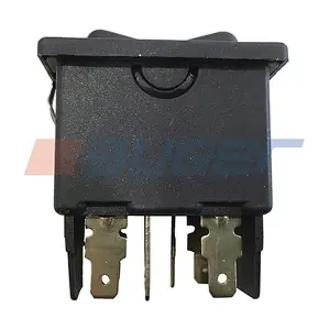 100481 AUGER