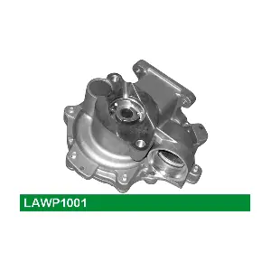 LUCAS LAWP1001