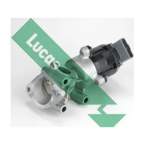 LUCAS FDR214