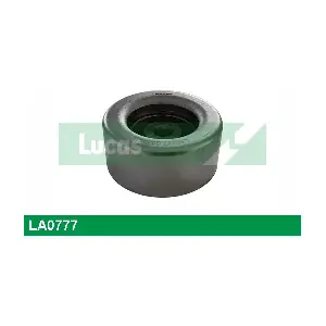 1609958780 DS (CAPSA)