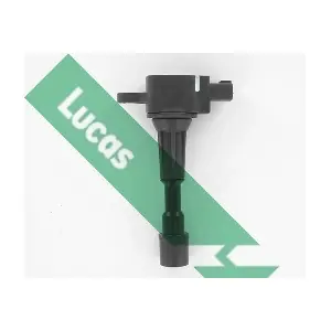 DMB5019 LUCAS