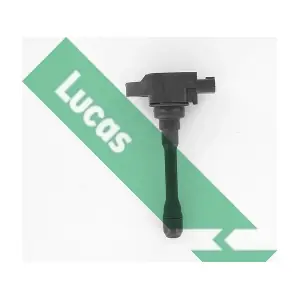 DMB5017 LUCAS