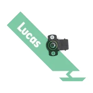 LUCAS SEB1297