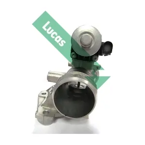 FDR466 LUCAS