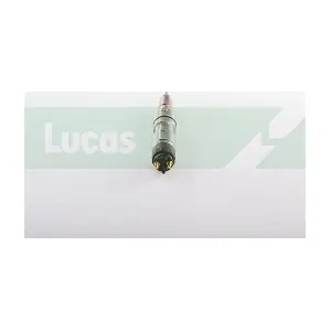 LDFB1916 LUCAS