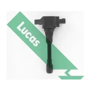 DMB5041 LUCAS
