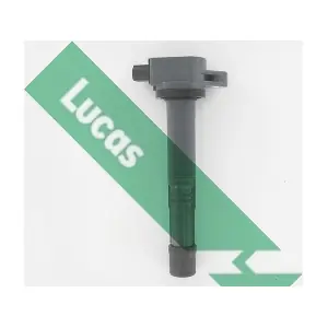 DMB2102 LUCAS