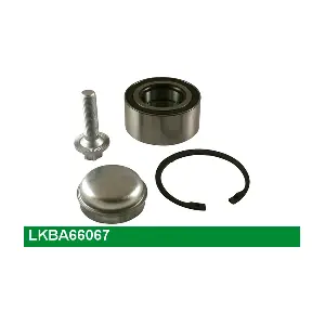 LUCAS LKBA66067