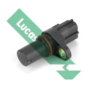 LUCAS SEB1951