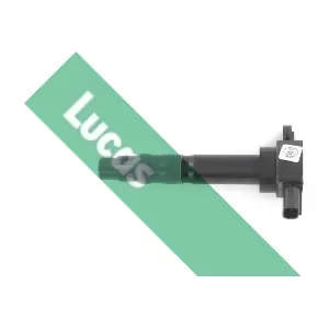 DMB2074 LUCAS