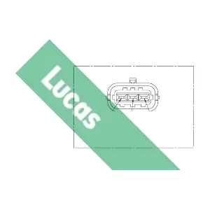 LUCAS SEB1786