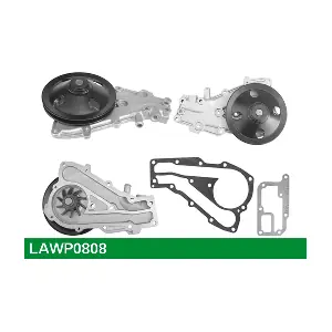 LUCAS LAWP0808