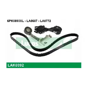1611425480 DS (CAPSA)