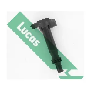 DMB5007 LUCAS