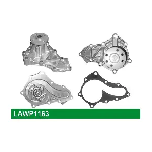LAWP1163 LUCAS