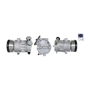 LUCAS ACP01161