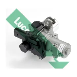 LUCAS FDR244