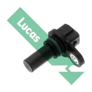 LUCAS SEB161