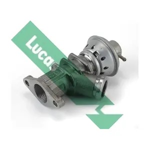 FDR181 LUCAS
