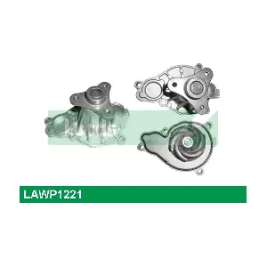 LUCAS LAWP1221