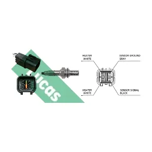 LEB5254 LUCAS