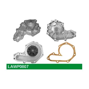 LUCAS LAWP0807