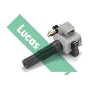 DMB2024 LUCAS