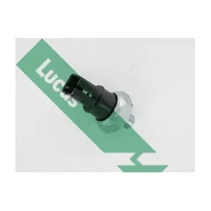 SOB979 LUCAS