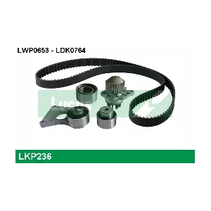 082310 DS (CAPSA)