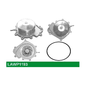 LAWP1193 LUCAS