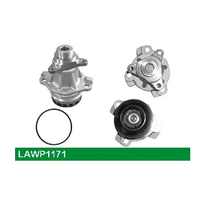 LAWP1171 LUCAS