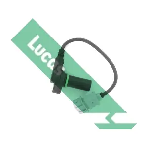 LUCAS SEB1646