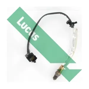 LEB987 LUCAS