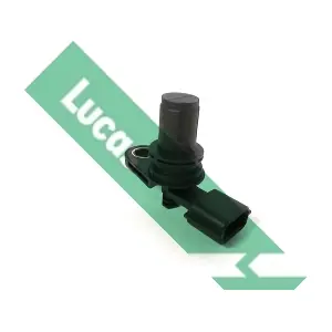 LUCAS SEB1855