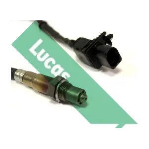 LUCAS LEB5272
