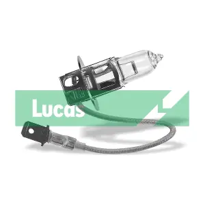 LLB444 LUCAS