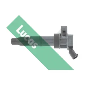 LUCAS DMB2078