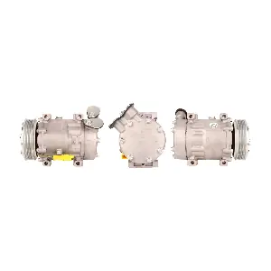LUCAS ACP398