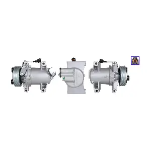 LUCAS ACP01196