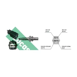 LEB5165 LUCAS