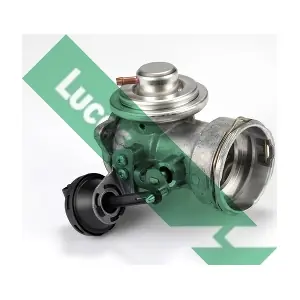 FDR296 LUCAS